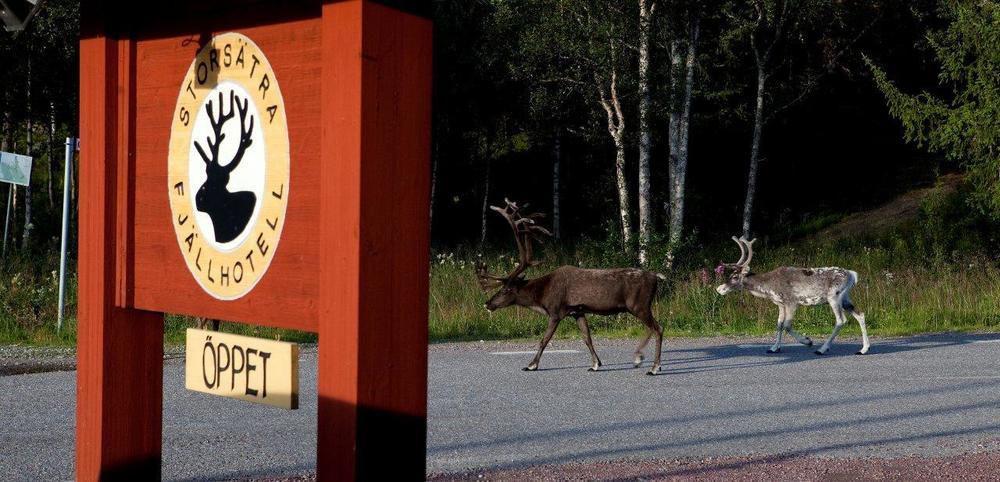 Storsaetra Fjaellhotell Grövelsjön Exterior foto